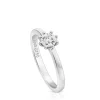 Anillo rosetón pequeño de oro blanco y diamantes 0.10ct Les Classiques^TOUS Best