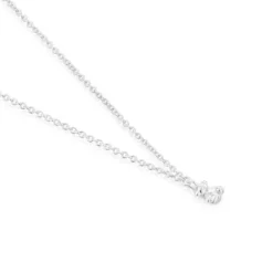 Collar de Bold Bear^TOUS Clearance
