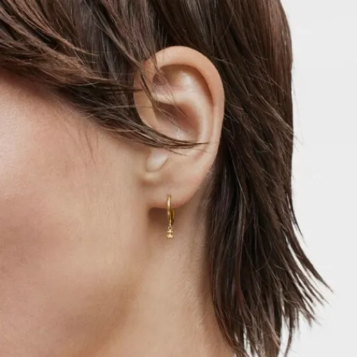 Pendientes aro de oro y oso Bold Bear^TOUS Best